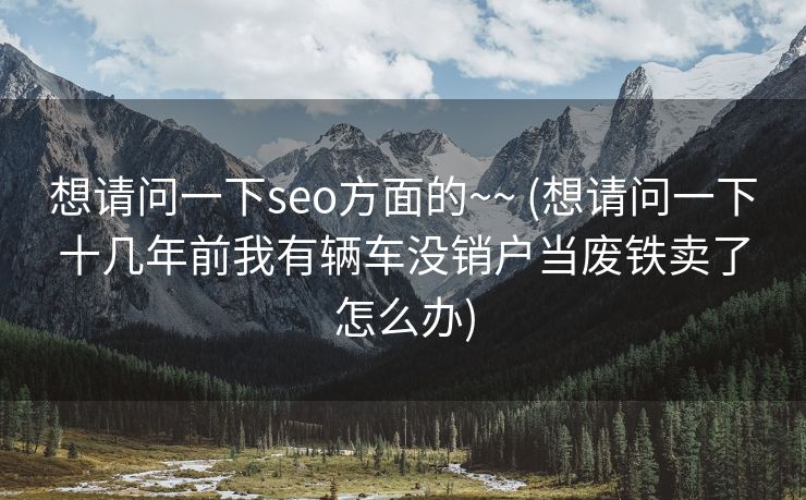 想请问一下seo方面的~~ (想请问一下十几年前我有辆车没销户当废铁卖了怎么办)
