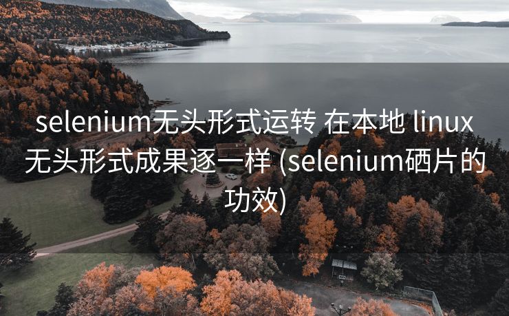selenium无头形式运转 在本地 linux无头形式成果逐一样 (selenium硒片的功效)