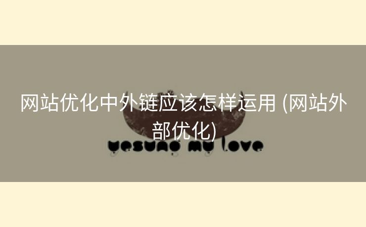 网站优化中外链应该怎样运用 (网站外部优化)