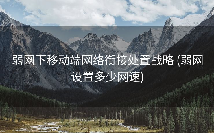 弱网下移动端网络衔接处置战略 (弱网设置多少网速)
