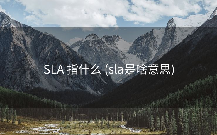 SLA 指什么 (sla是啥意思)