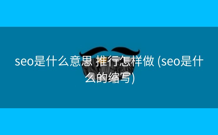 seo是什么意思 推行怎样做 (seo是什么的缩写)