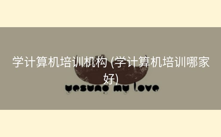 学计算机培训机构 (学计算机培训哪家好)