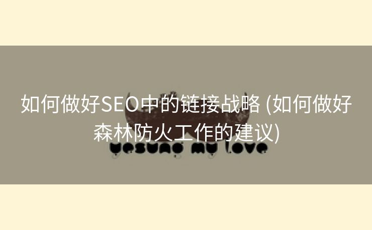 如何做好SEO中的链接战略 (如何做好森林防火工作的建议)