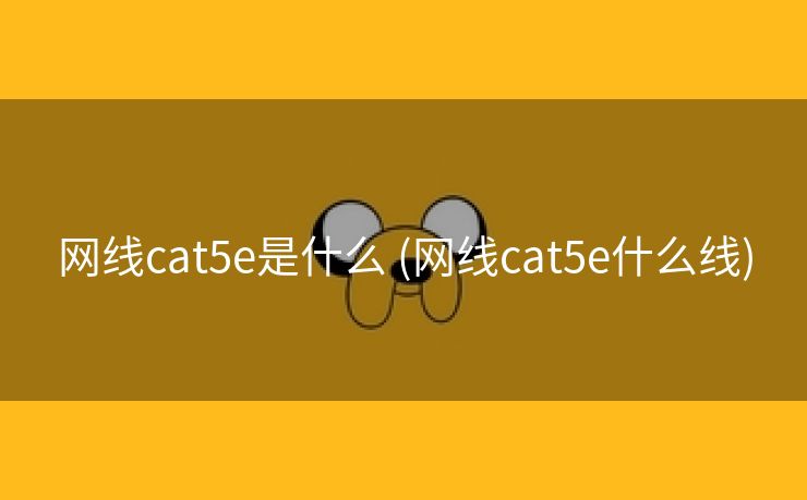 网线cat5e是什么 (网线cat5e什么线)