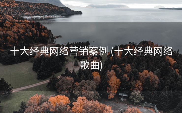 十大经典网络营销案例 (十大经典网络歌曲)