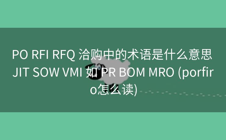PO RFI RFQ 洽购中的术语是什么意思 JIT SOW VMI 如 PR BOM MRO (porfiro怎么读)