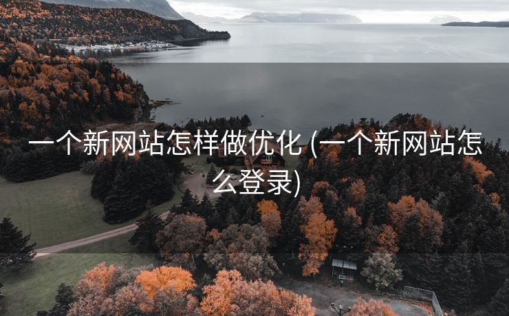 一个新网站怎样做优化 (一个新网站怎么登录)