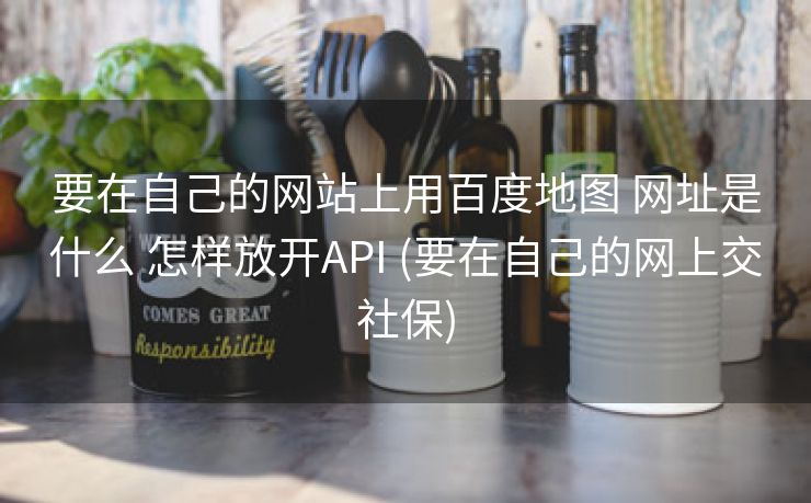 要在自己的网站上用百度地图 网址是什么 怎样放开API (要在自己的网上交社保)