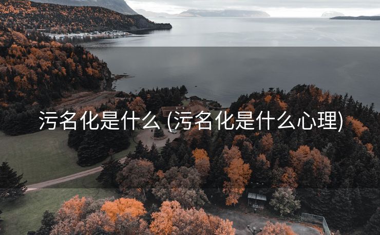 污名化是什么 (污名化是什么心理)