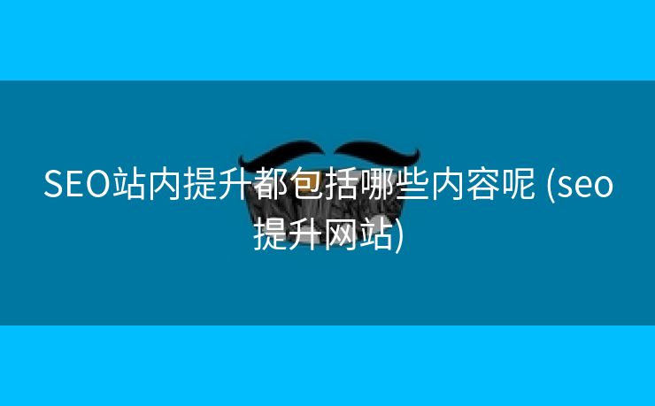 SEO站内提升都包括哪些内容呢 (seo提升网站)