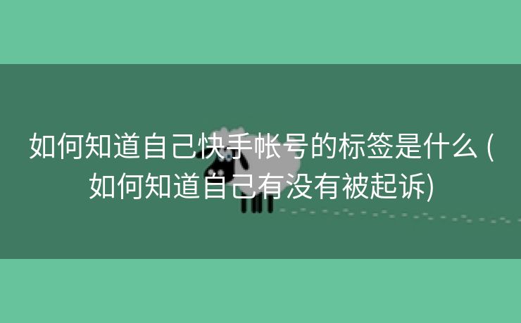 如何知道自己快手帐号的标签是什么 (如何知道自己有没有被起诉)