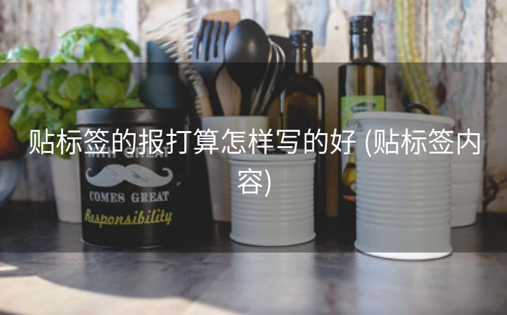 贴标签的报打算怎样写的好 (贴标签内容)