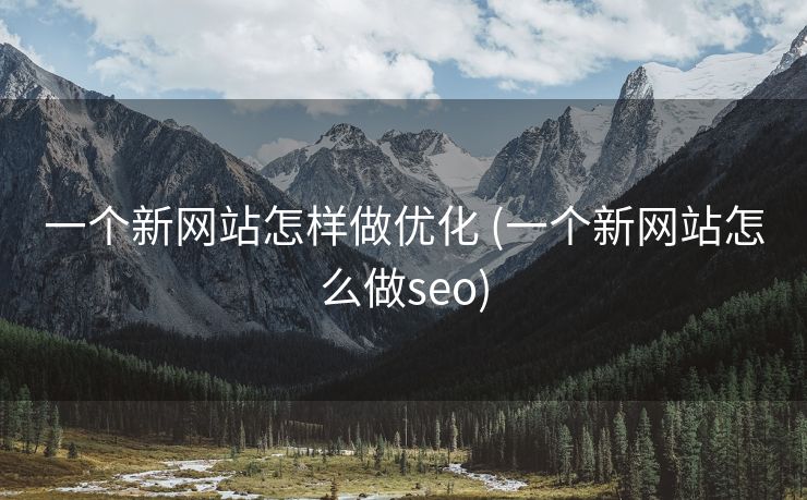 一个新网站怎样做优化 (一个新网站怎么做seo)