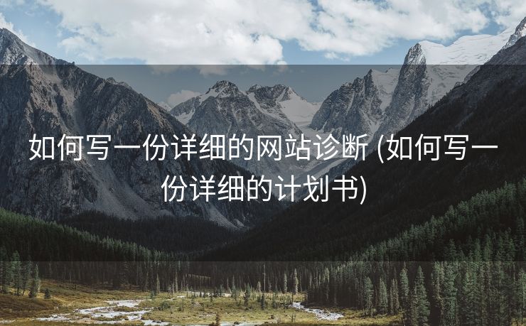如何写一份详细的网站诊断 (如何写一份详细的计划书)