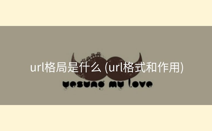url格局是什么 (url格式和作用)