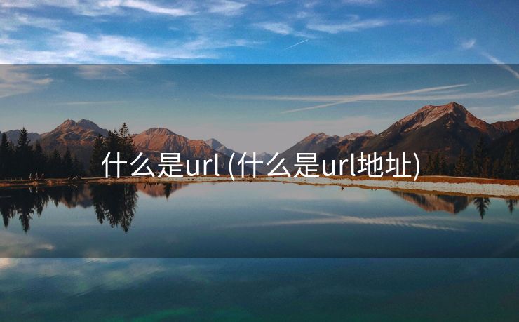 什么是url (什么是url地址)
