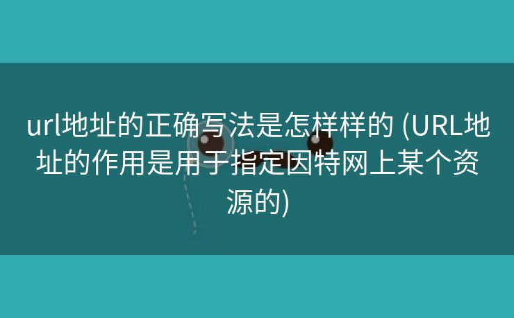 url地址的正确写法是怎样样的 (URL地址的作用是用于指定因特网上某个资源的)