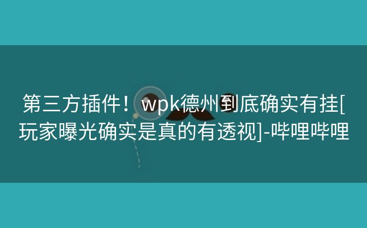 第三方插件！wpk德州到底确实有挂[玩家曝光确实是真的有透视]-哔哩哔哩