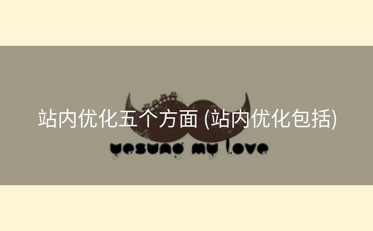站内优化五个方面 (站内优化包括)