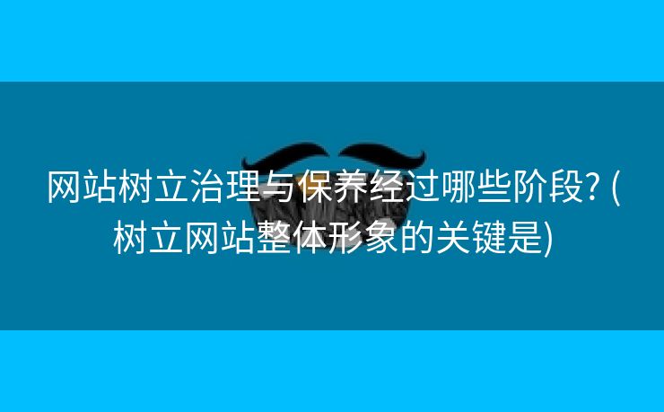 网站树立治理与保养经过哪些阶段? (树立网站整体形象的关键是)
