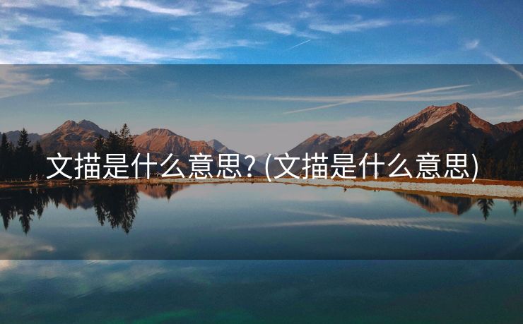 文描是什么意思? (文描是什么意思)