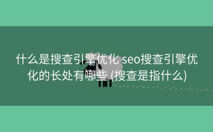 什么是搜查引擎优化 seo搜查引擎优化的长处有哪些 (搜查是指什么)