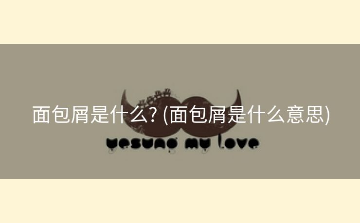 面包屑是什么? (面包屑是什么意思)
