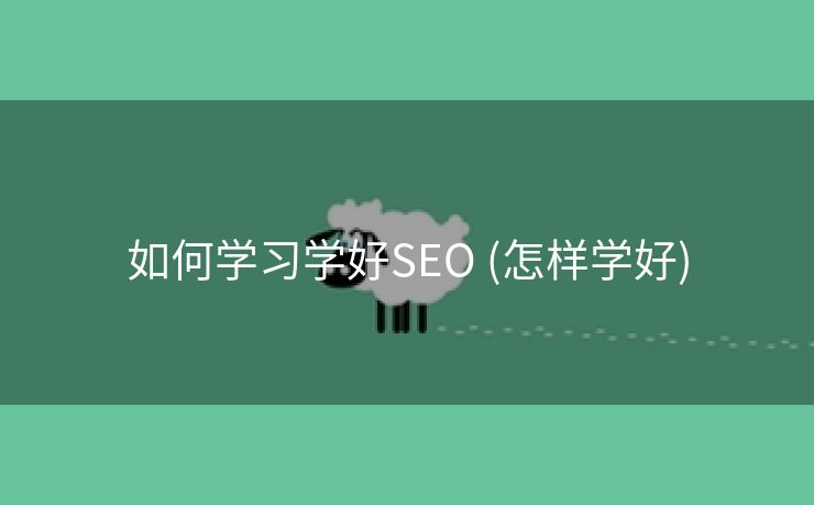 如何学习学好SEO (怎样学好)