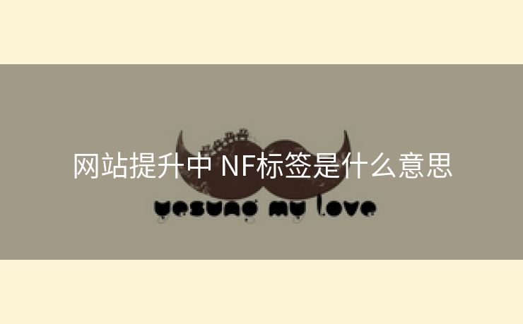 网站提升中 NF标签是什么意思