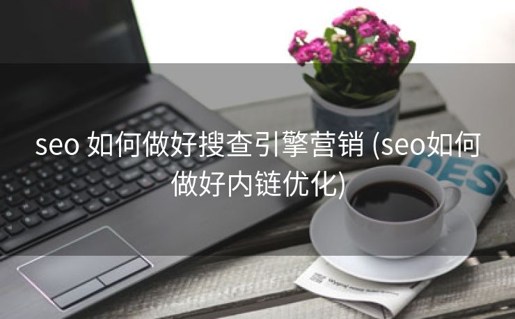 seo 如何做好搜查引擎营销 (seo如何做好内链优化)