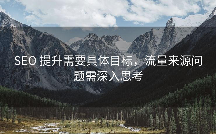 SEO 提升需要具体目标，流量来源问题需深入思考