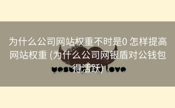 为什么公司网站权重不时是0 怎样提高网站权重 (为什么公司网银盾对公钱包得活跃)