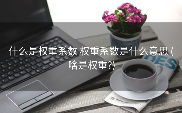 什么是权重系数 权重系数是什么意思 (啥是权重?)
