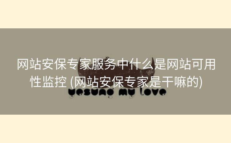 网站安保专家服务中什么是网站可用性监控 (网站安保专家是干嘛的)