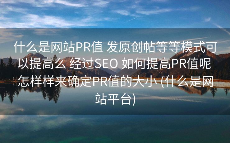 什么是网站PR值 发原创帖等等模式可以提高么 经过SEO 如何提高PR值呢 怎样样来确定PR值的大小 (什么是网站平台)