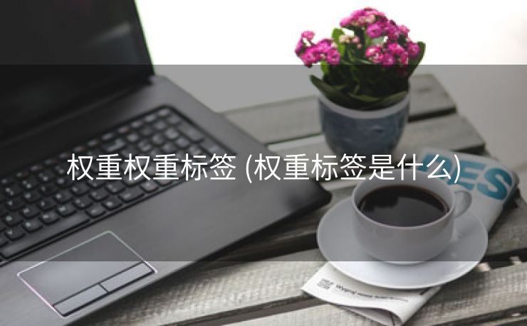 权重权重标签 (权重标签是什么)