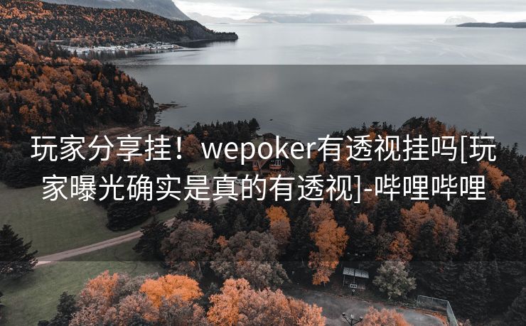 玩家分享挂！wepoker有透视挂吗[玩家曝光确实是真的有透视]-哔哩哔哩