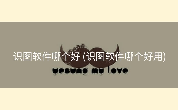 识图软件哪个好 (识图软件哪个好用)