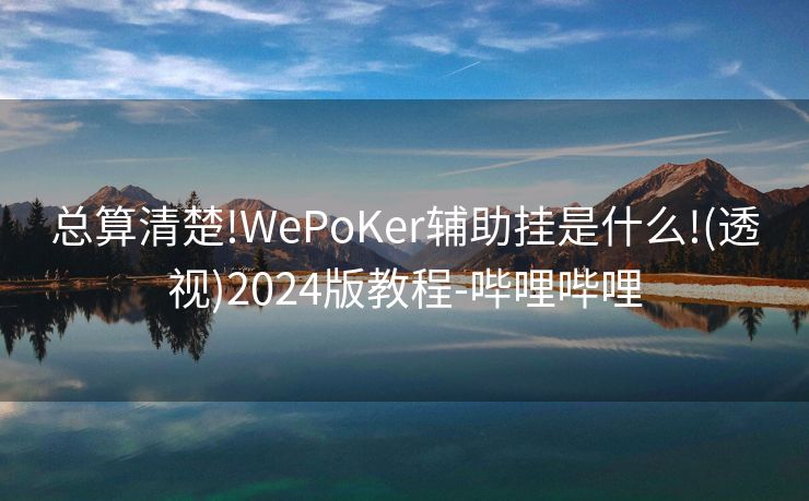 总算清楚!WePoKer辅助挂是什么!(透视)2024版教程-哔哩哔哩