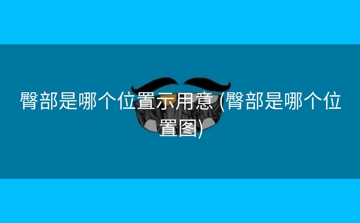 臀部是哪个位置示用意 (臀部是哪个位置图)