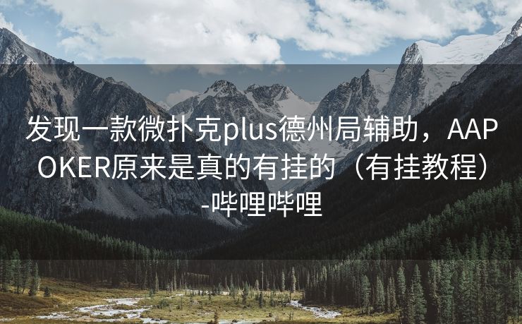 发现一款微扑克plus德州局辅助，AAPOKER原来是真的有挂的（有挂教程）-哔哩哔哩