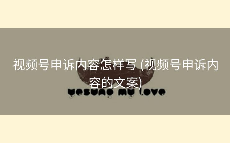 视频号申诉内容怎样写 (视频号申诉内容的文案)