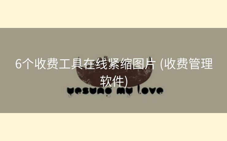 6个收费工具在线紧缩图片 (收费管理软件)