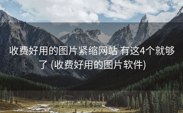 收费好用的图片紧缩网站 有这4个就够了 (收费好用的图片软件)