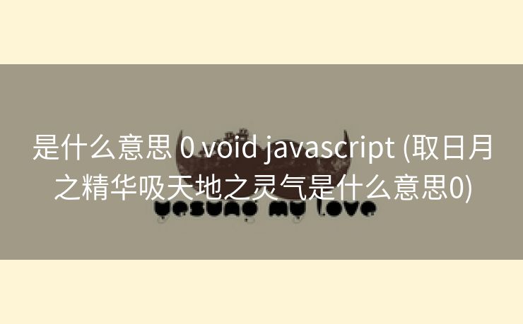 是什么意思 0 void javascript (取日月之精华吸天地之灵气是什么意思0)