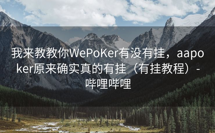 我来教教你WePoKer有没有挂，aapoker原来确实真的有挂（有挂教程）-哔哩哔哩