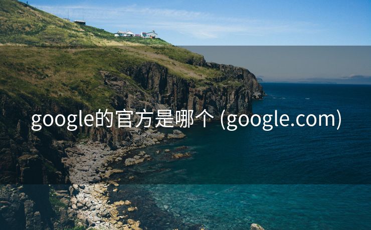 google的官方是哪个 (google.com)