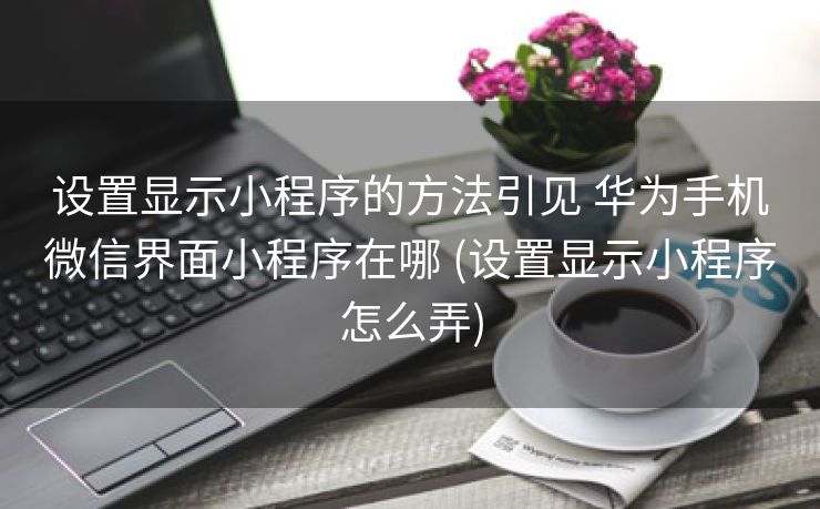 设置显示小程序的方法引见 华为手机微信界面小程序在哪 (设置显示小程序怎么弄)