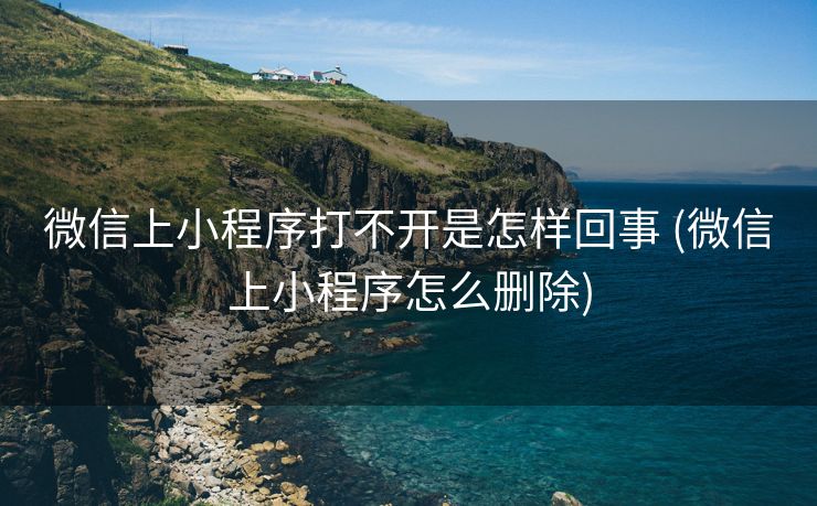 微信上小程序打不开是怎样回事 (微信上小程序怎么删除)